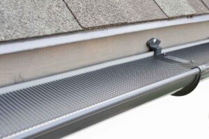 best gutter guards expert in Central Florida
