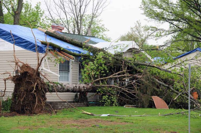 trusted storm damage repair expert in The Villages FL