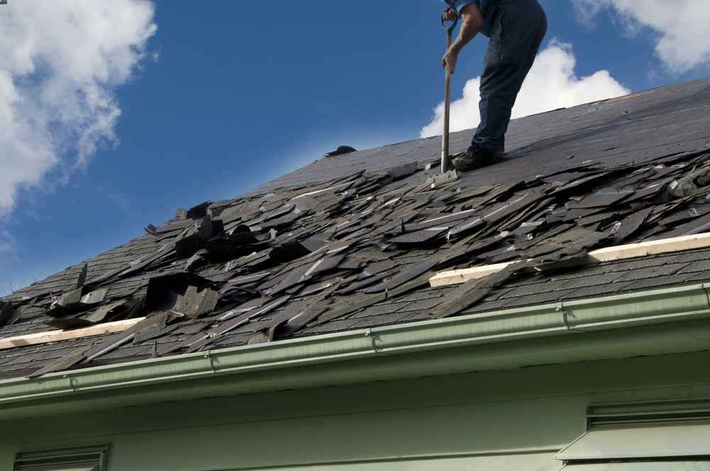 trusted roof replacement expert in Florida