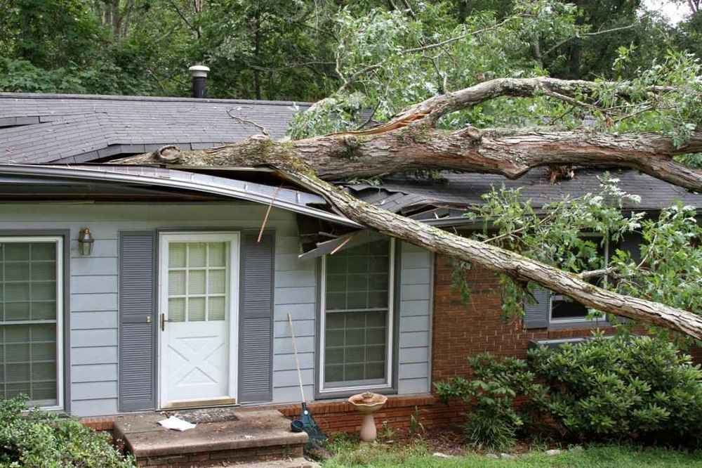 Trusted Storm Damage Roof Repair in Yalaha FL