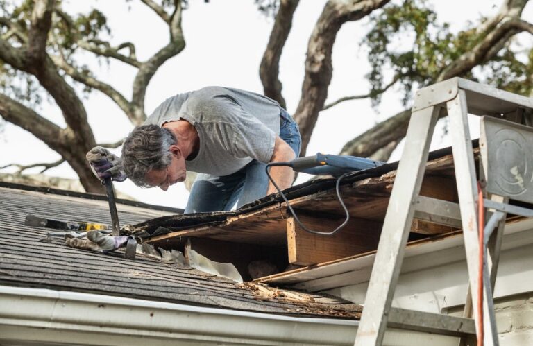 storm damage repair in Mascotte