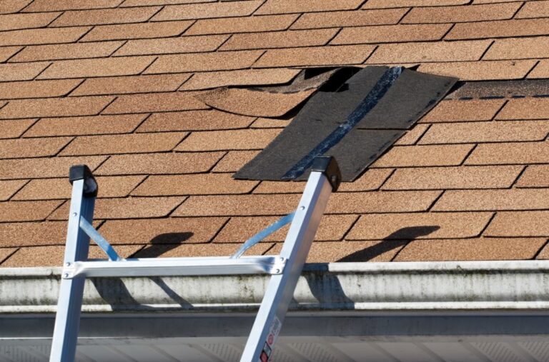 storm damage repair in Yalaha