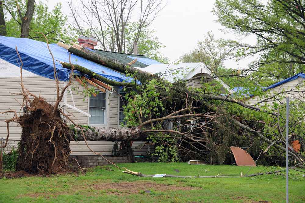 Trusted Roof Damage Repair Insurance Expert in Orlando